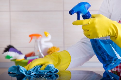 Home interior showing a fresh, stain-free space after pet odour treatment