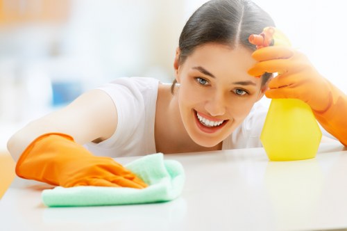 Secure online carpet cleaning payment using SSL encryption