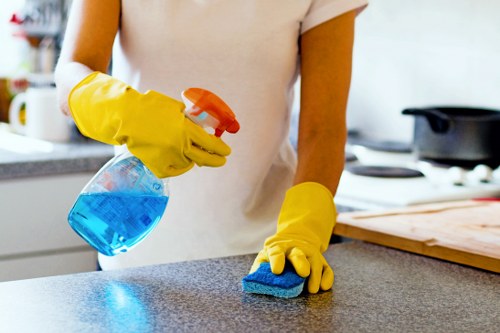 Carpet cleaning team assessing safety risks before starting work