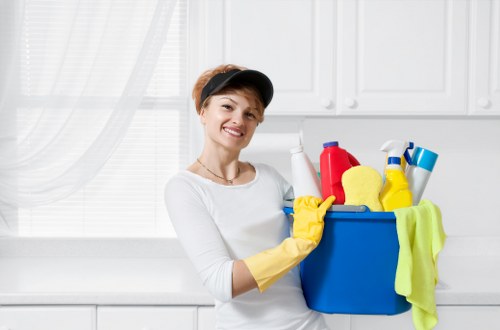 Eco-friendly stain removal service for Emersonpark homes