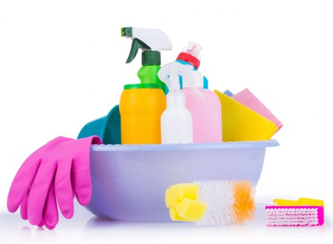 Carpet cleaning team preparing equipment with safety focus