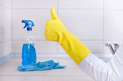 Deep rug cleaning process for Emersonpark households