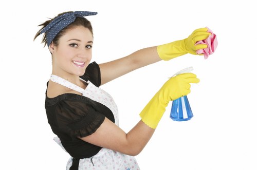 Cleaning supplies used for pet stain odour removal in Emersonpark