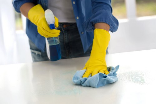 Professional fabric furniture deep cleaning in Emersonpark