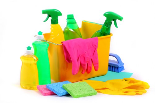 Emersonpark carpet cleaning team focused on quality and care