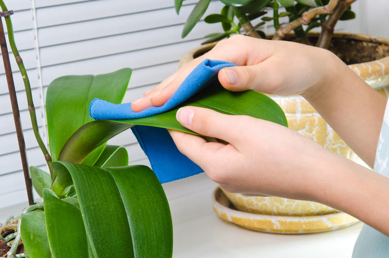 deep cleaning regular cleaning